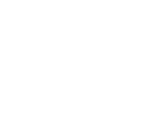 Custom development